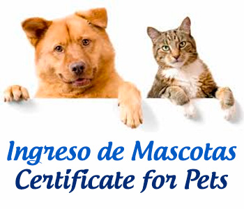 PETS.jpg